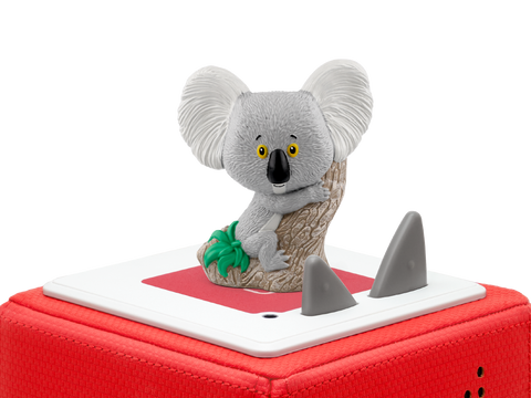 Ideales Geschenk für Kinder, die sich etwas trauen und Abenteuer lieben