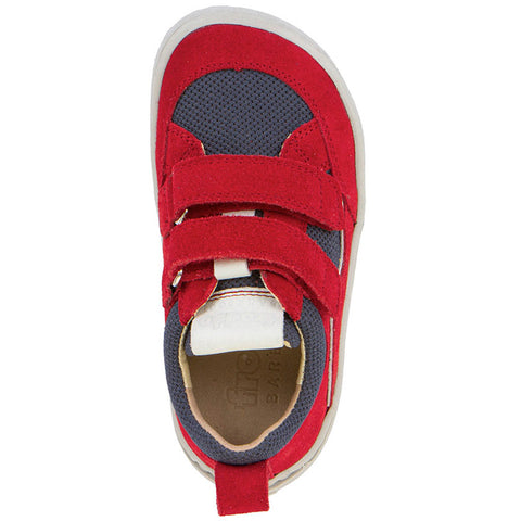 FRODDO Barfußschuh Halbschuh G3130271-18 - rot / blau / grau