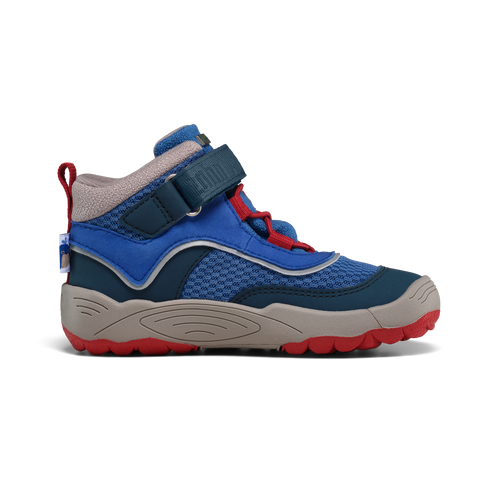 AFFENZAHN TEX Knöchelschuh VEGAN EXPLORY WAL - blau / grau / rot