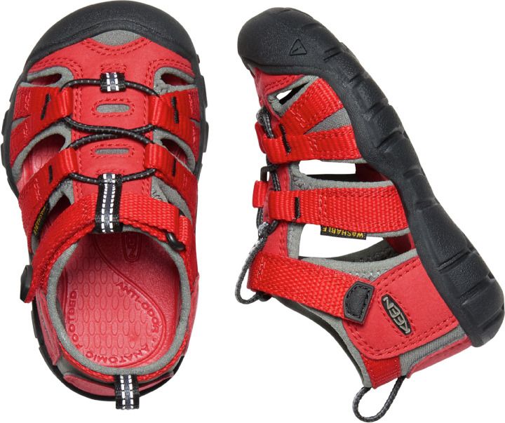 Red and gray KEEN Halbsandale SEACAMP II CNX TOTS - rot - grau with rubber outsole for traction