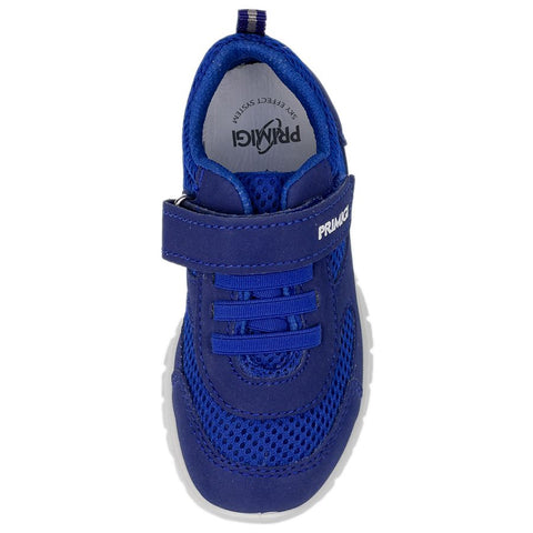 PRIMIGI Halbschuh 18715-44 in royalblau, a stylish and comfortable shoe for boys