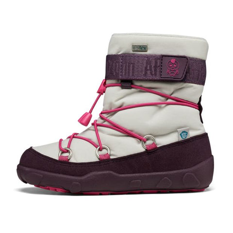 alt text for image 2